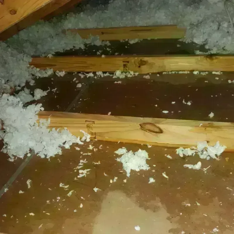 Attic Water Damage in Dimmit County, TX