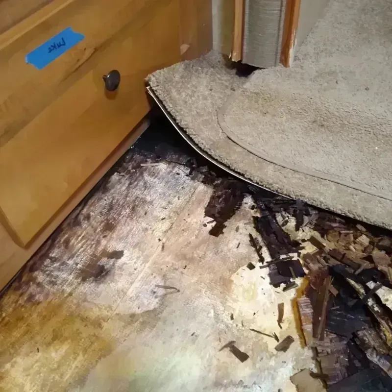 Best Wood Floor Water Damage Service in Dimmit County, TX